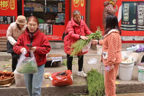 农历三月三 荠菜煮鸡蛋