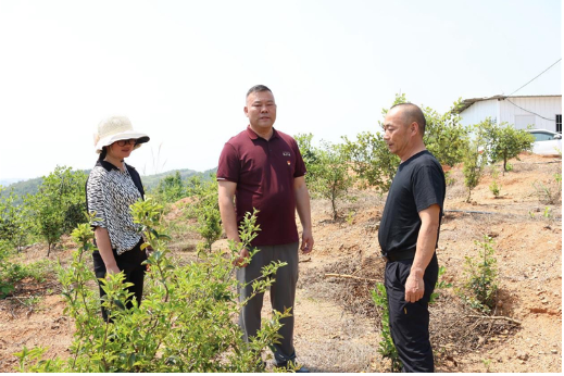 劳模风采| 徐安清：一心为民践初心 实干担当铸忠诚