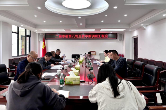 邵东市委巡察工作领导小组开展巡察中期调研