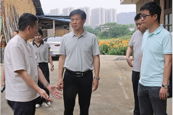 省人大执法检查组来邵东开展“法治护绿人大行”执法检查