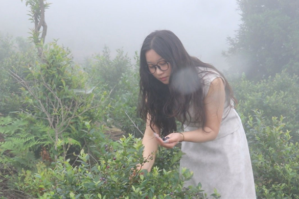 邵东大云山100多亩蓝莓丰收