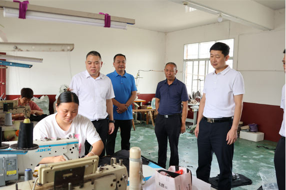 付凯军督导调研巩固拓展脱贫攻坚成果同乡村振兴有效衔接工作