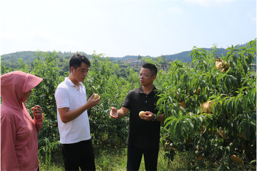 七一特辑| 范小平：用脚步丈量民情 以实干凝聚民心