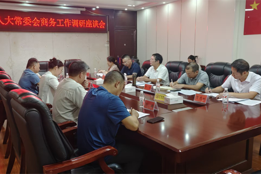 黄负平调研商务工作