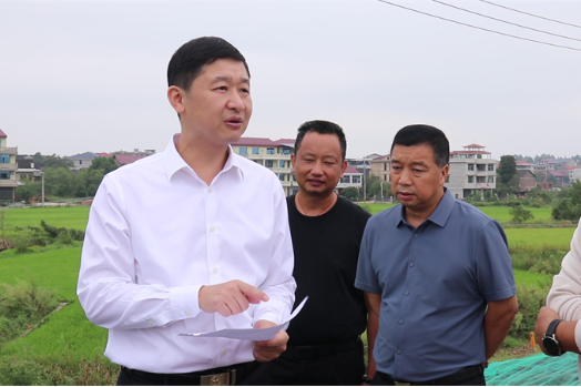 付凯军督办人大代表关于加快东城快线（邵东段）建成通车的建议案办理工作