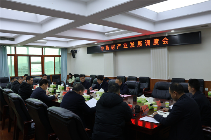 付凯军调度中药材产业发展 强调科学规划打造富民强市支柱产业