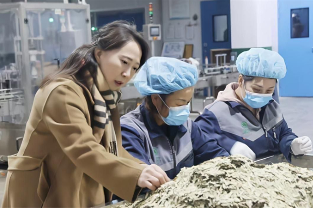 代表风采｜周桂花：药香漫乡梓 履职暖民心