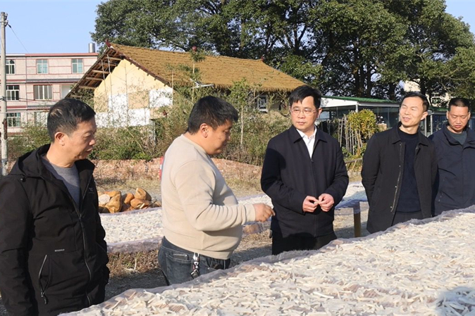 代表风采 | 李周全：“五彩中乡”绘蓝图 “诗画田园”践初心