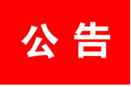 邵东市第二届人民代表大会第七次会议公告（第二号）