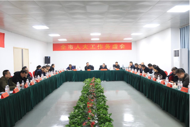 邵东市召开人大工作务虚会