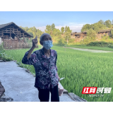 古丈县坪坝镇：“流动菜车”开进村 解决群众“买菜难”“卖菜难”问题