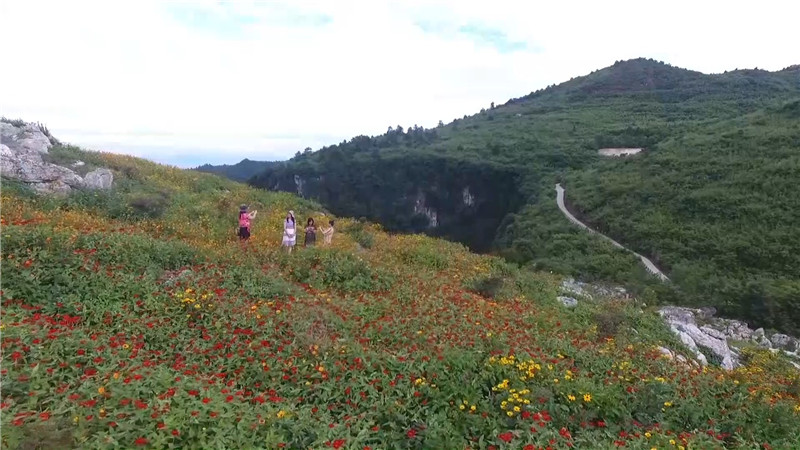 省文化和旅游厅评验鹤城区省级全域旅游示范区创建工作（半成品）.mp4_20201022_165721.788.jpg