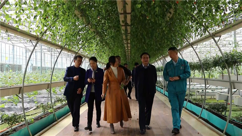 省文化和旅游厅评验鹤城区省级全域旅游示范区创建工作（半成品）.mp4_20201022_165646.068.jpg