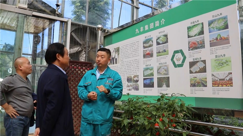 省文化和旅游厅评验鹤城区省级全域旅游示范区创建工作（半成品）.mp4_20201022_165553.990.jpg