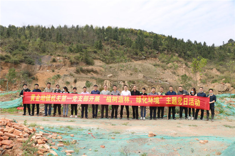 黄金坳镇：开展植树造林绿化美丽家园3.jpg