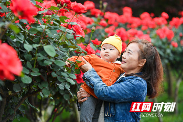 4.20图说（新）.jpg