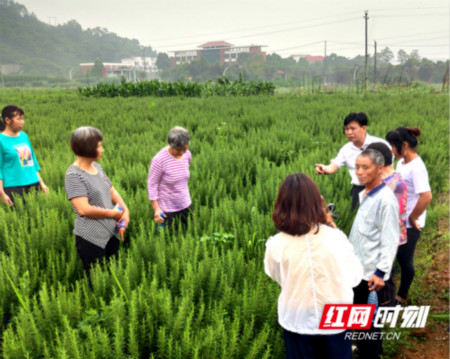 6.2图说（新）.jpg