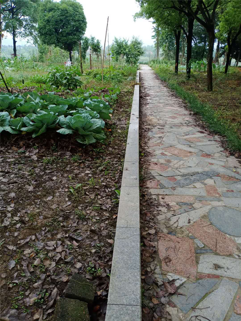 图片9.jpg