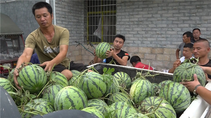 张吉怀铁路指挥部：为冒酷暑战斗在一线的建设者们送去清凉 (4).jpg