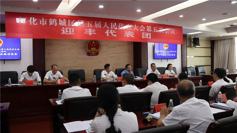 向秀亮参加迎丰代表团讨论（半成品）.mp4_20200806_174916.785.jpg