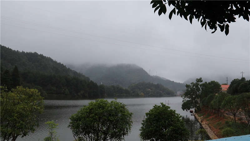 十一长假我区多阴雨天气 气温起伏较大.mp4_20200930_161806.915.jpg
