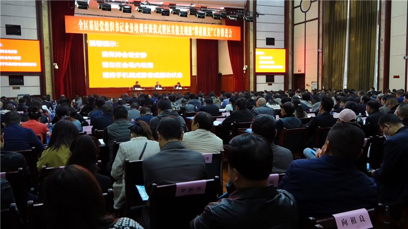 鹤城区基层党组织书记业务培训开班仪式暨区直机关创建“模范机关”工作推进会.mp4_20201110_170526.042.jpg