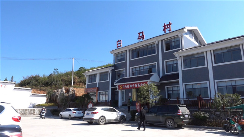 冯贵友调研督导白马村“‘四支队伍’.mp4_20201113_165026.022.jpg