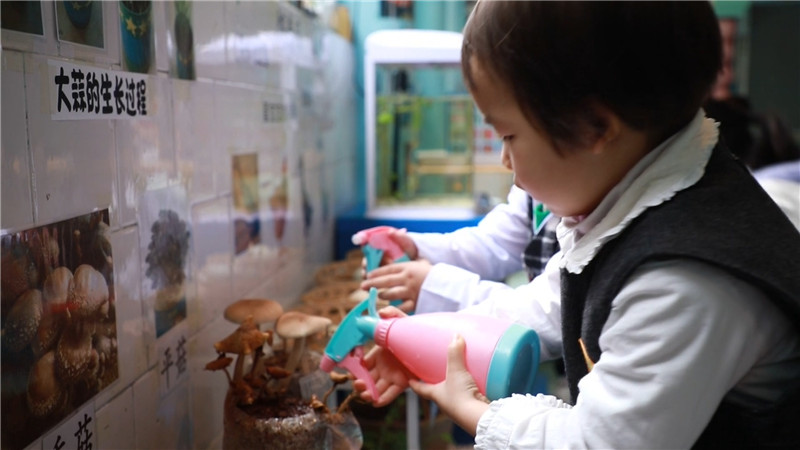 鹤城区幼儿园：光盘请亮灯  幼儿争当追“光”者.mp4_20201118_180318.811.jpg
