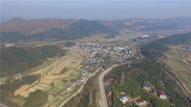鹤城区黄金坳镇油茶基地获“怀化市油茶种植示范基地”.mp4_20201119_171415.466.jpg