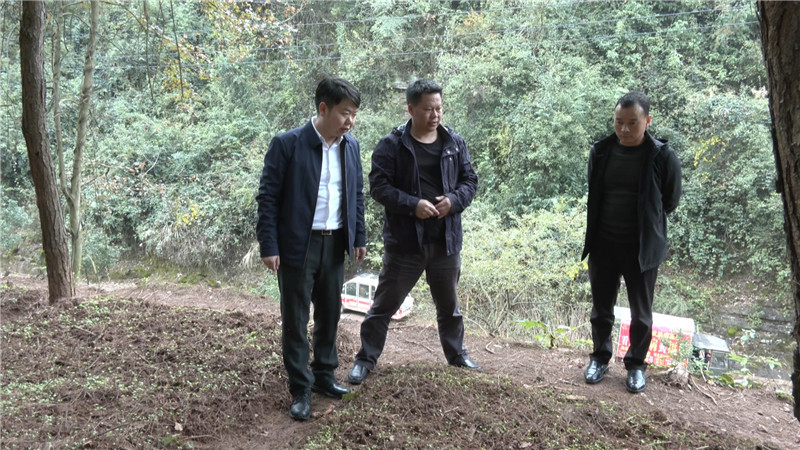 11-7 梁志平以“四不两直”方式深入乡镇调研脱贫攻坚工作（三审）(1).mp4_20201109_172908.881.jpg