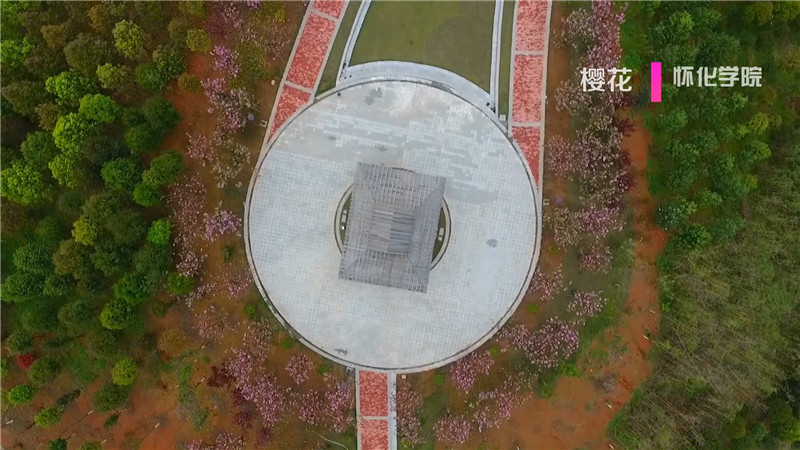 桃花红、菜花黄、樱花粉、梨花白……鹤城大地繁花似锦。今天，我们鹤城融媒体中心向广大市民群众推荐一下鹤城周边“春赏花”为主题的赏花踏青点。（记者 肖鹏 陈冲）