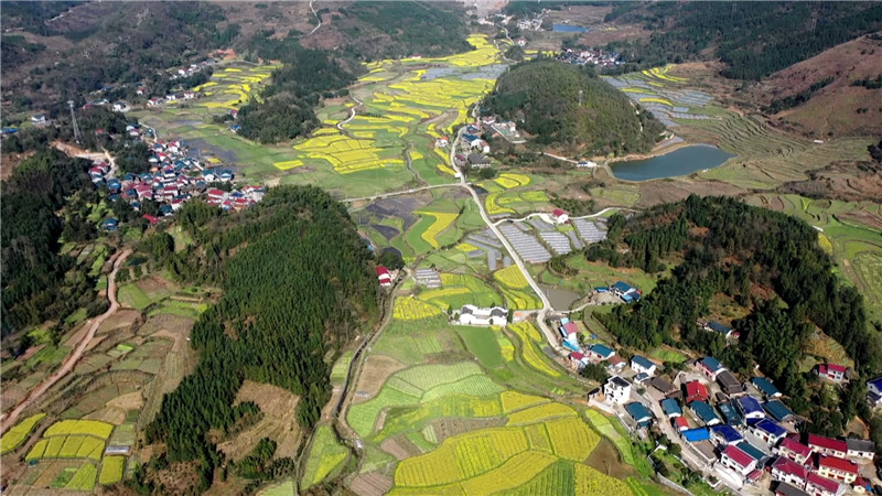桃花红、菜花黄、樱花粉、梨花白……鹤城大地繁花似锦。今天，我们鹤城融媒体中心向广大市民群众推荐一下鹤城周边“春赏花”为主题的赏花踏青点。（记者 肖鹏 陈冲）