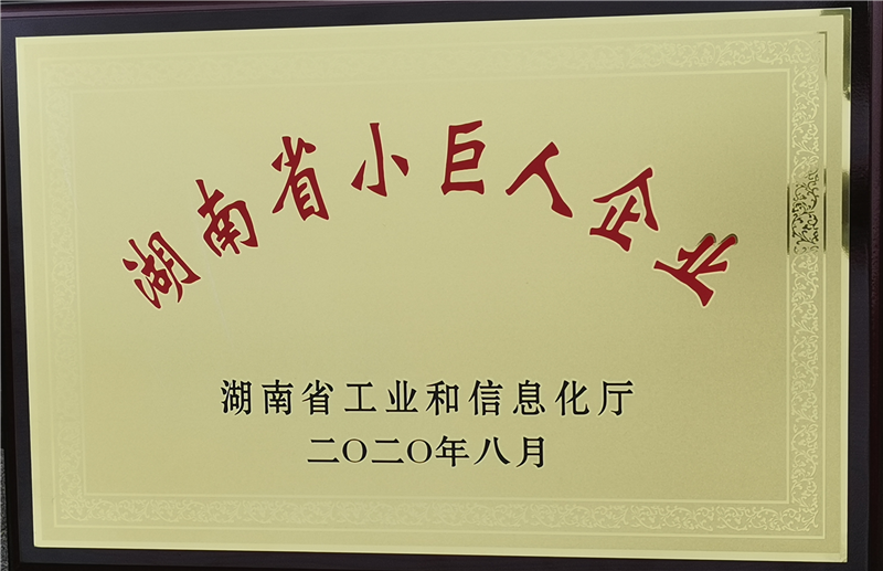 小巨人企业.png