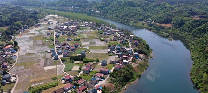 鹤城区凤坪村：阳春四月风景如画（半成品片尾） (12).jpg