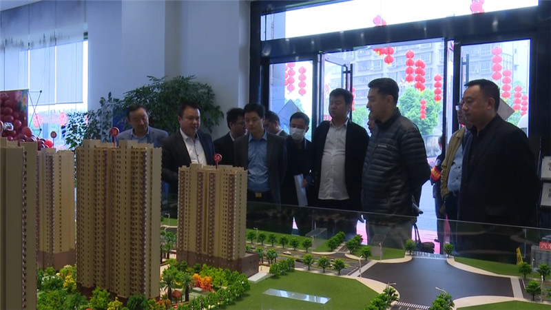 中国民贸一村一品考察组深入鹤城区调研 (2).jpg
