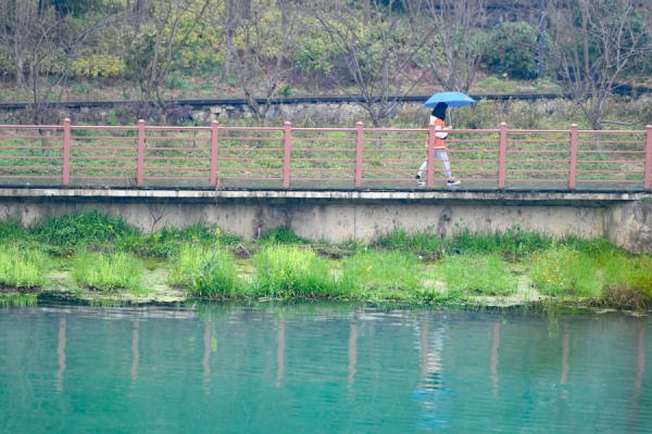 3.8图说.jpg 3.8图说.jpg