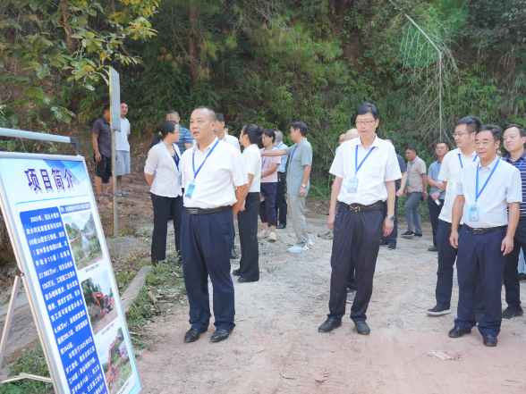 鹤城区人大常委会开展人大代表票决制民生实事项目集中视察
