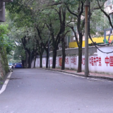 鹤城区城中街道:人大牵头解民忧 基层治理焕新颜