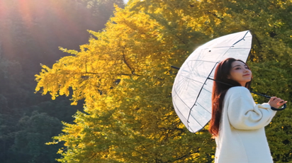 【大美鹤城】鹤城区：千年银杏披金衣冬日美景醉游人