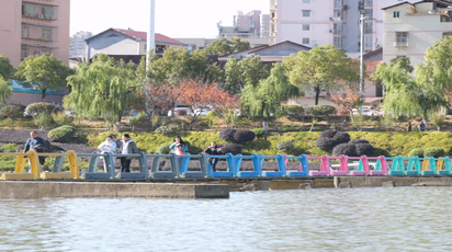 冬日暖阳映鹤鸣 市民休闲享时光
