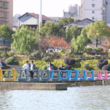 冬日暖阳映鹤鸣 市民休闲享时光