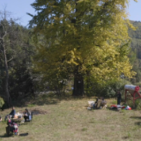 古村焕新颜 休闲打卡热 白马村滕家古村成市民新宠