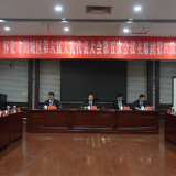 【“鹤”立潮头 “城”势而上—鹤城区两会报道】区六届人大五次会议举行主席团第四次会议