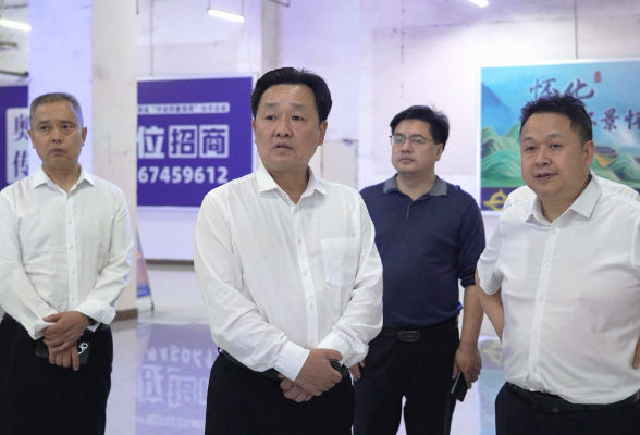 唐成调研城市品质提升、信访维稳及安全生产工作