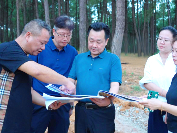 唐成调研鹤城区重点文旅项目建设并督导检查安全生产工作