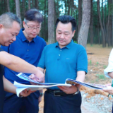 唐成调研鹤城区重点文旅项目建设并督导检查安全生产工作