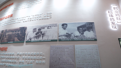 怀化市植物园陈列馆即将开放 展现袁隆平院士人生历程