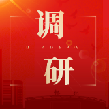 郑明明调研督导三大“突击战”工作