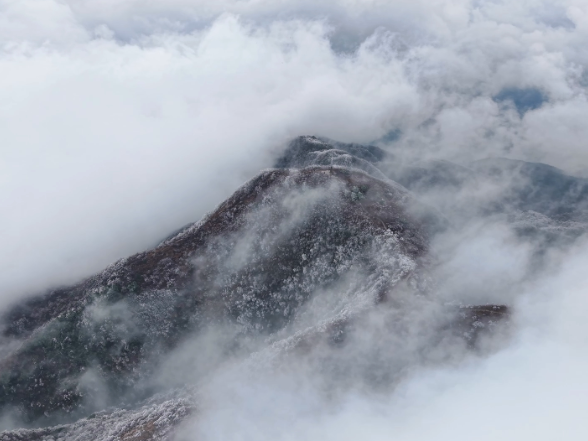 【大美鹤城】凉山：雾凇云海齐亮相 冬日风光入画来