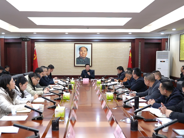 唐成主持召开全区信访工作专题调度会